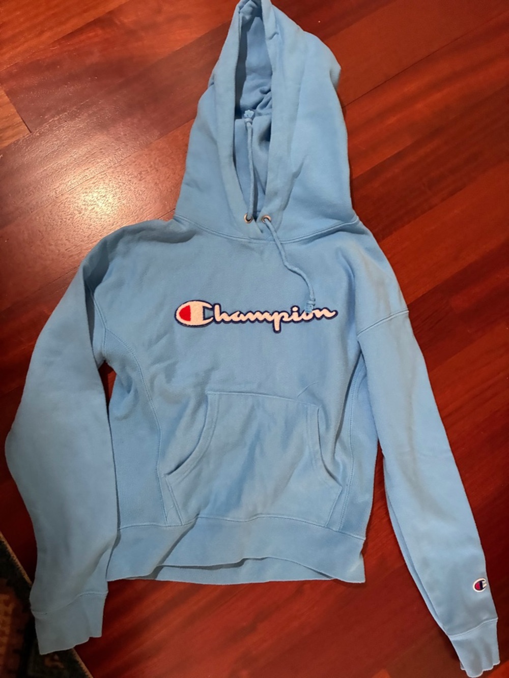 Champion Sky Blue Hooded Sweatshirt with Script Logo